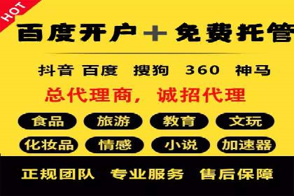 某电商平台的SEM策略与效果展示